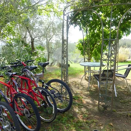 Casa Leonardo Flat